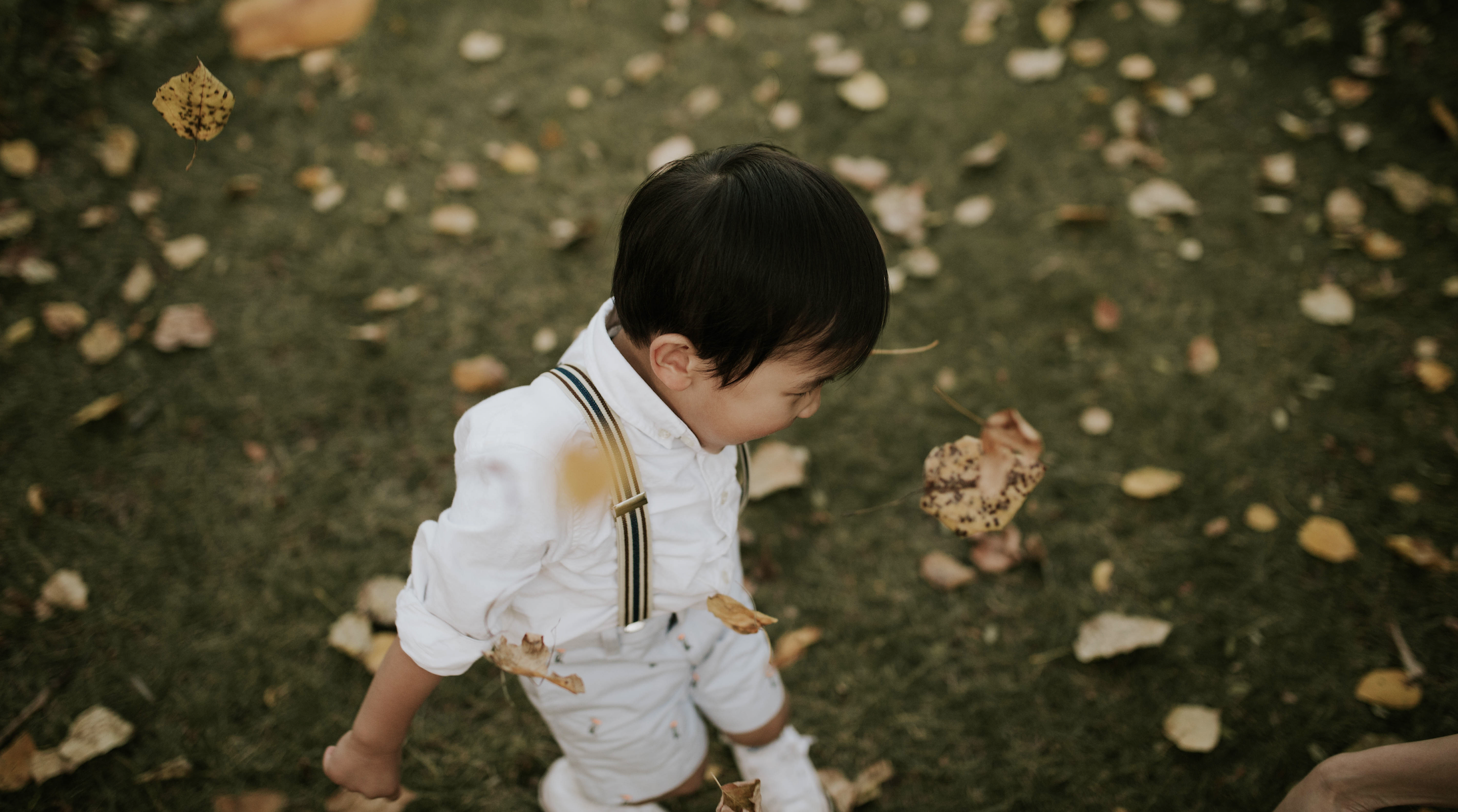 Screen Shot 2019-08-24 at 11.10.20 PM.png