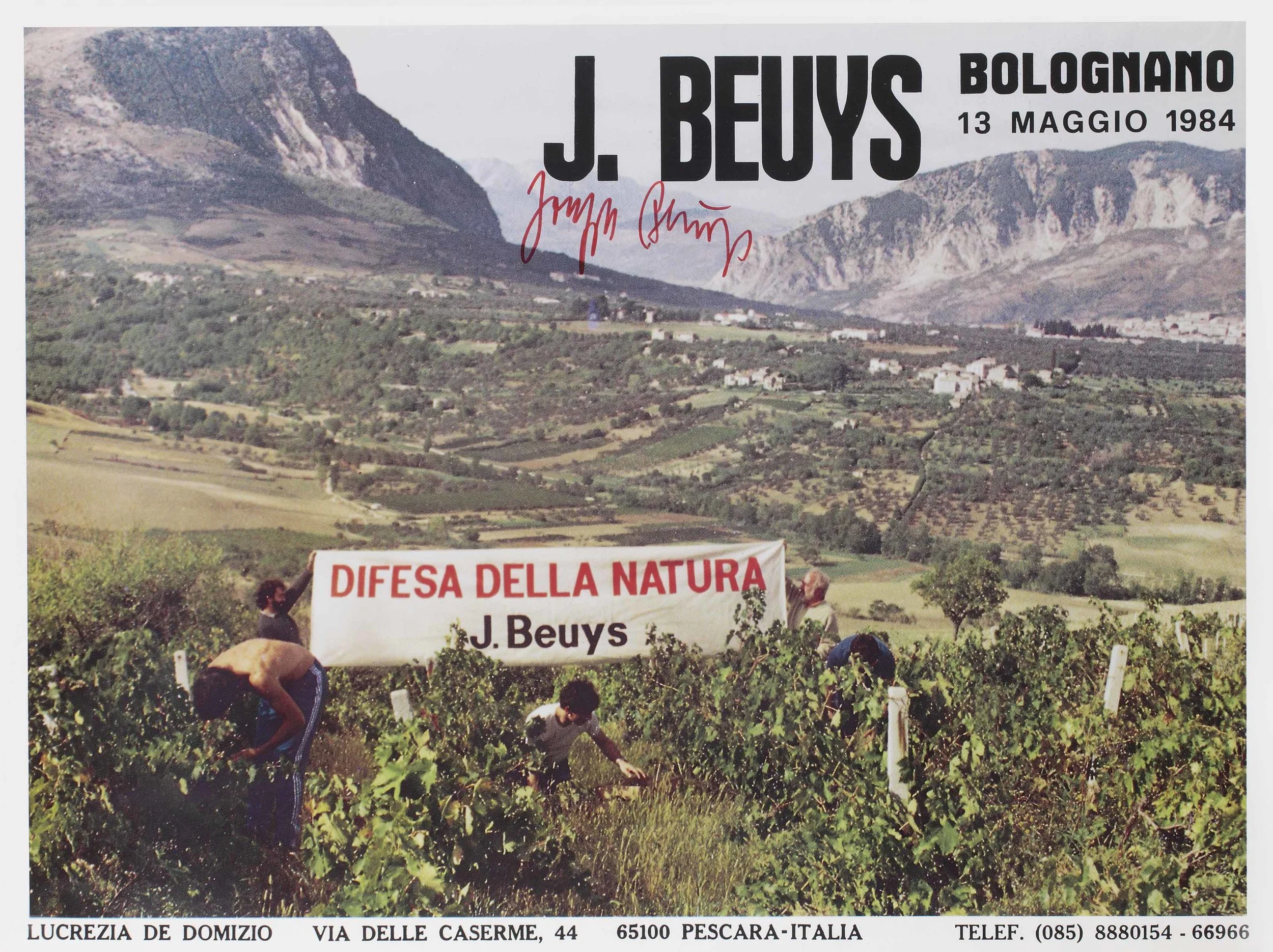 2018_AMS_15805_0144_000(joseph_beuys_difesa_della_natura).jpg
