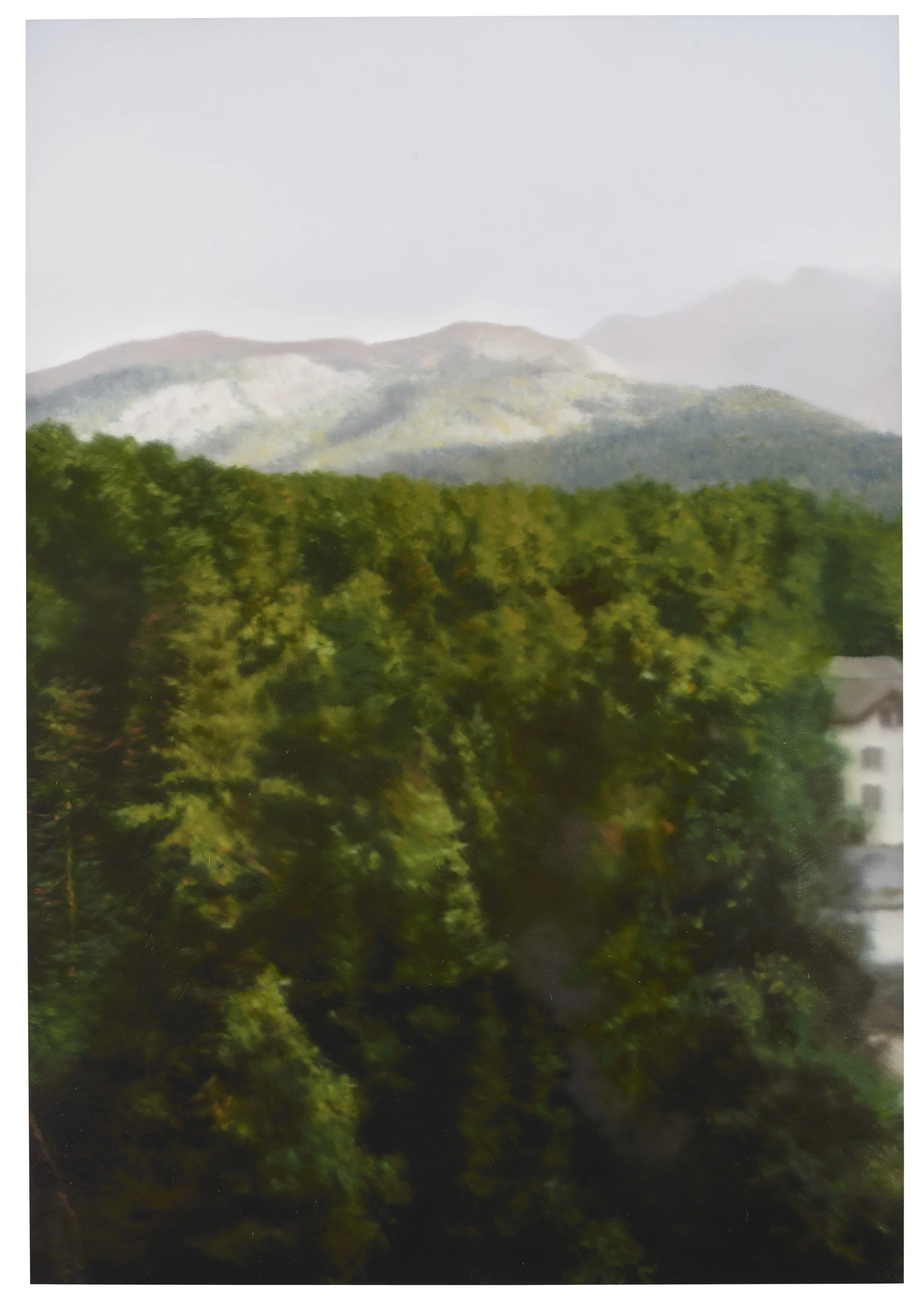 2021_NYR_19674_0153_000(gerhard_richter_waldhaus093809).jpg