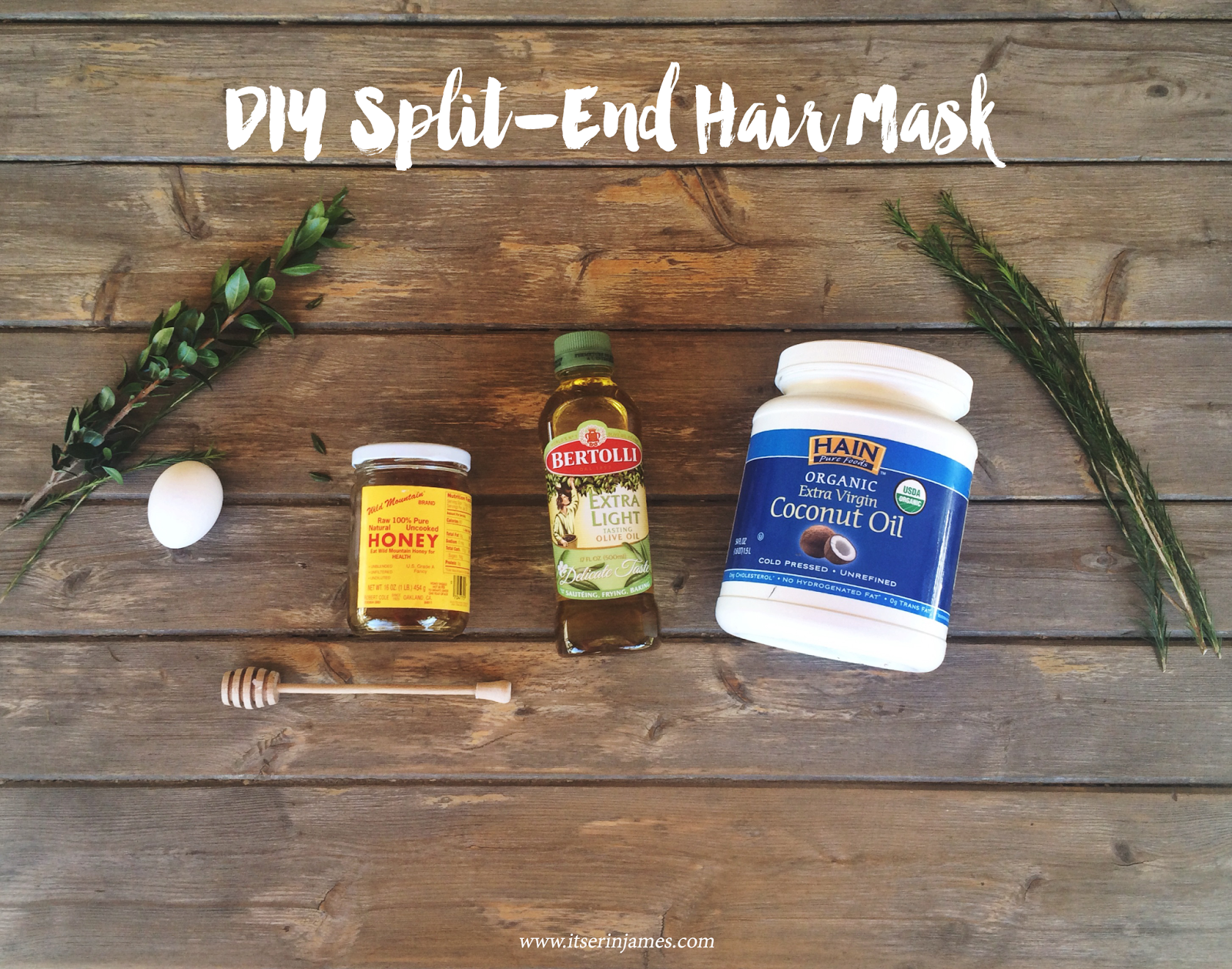 DIY SplitEnd Repair Hair Mask — erin morris