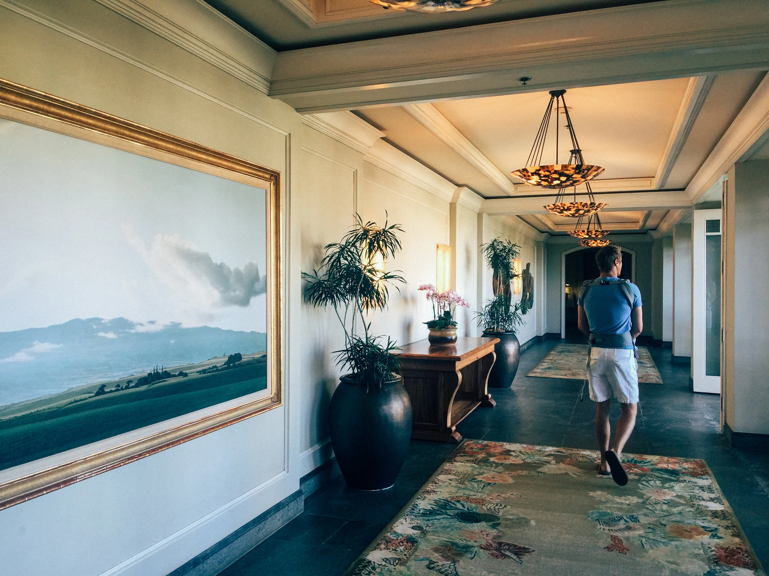 maui 009.jpg