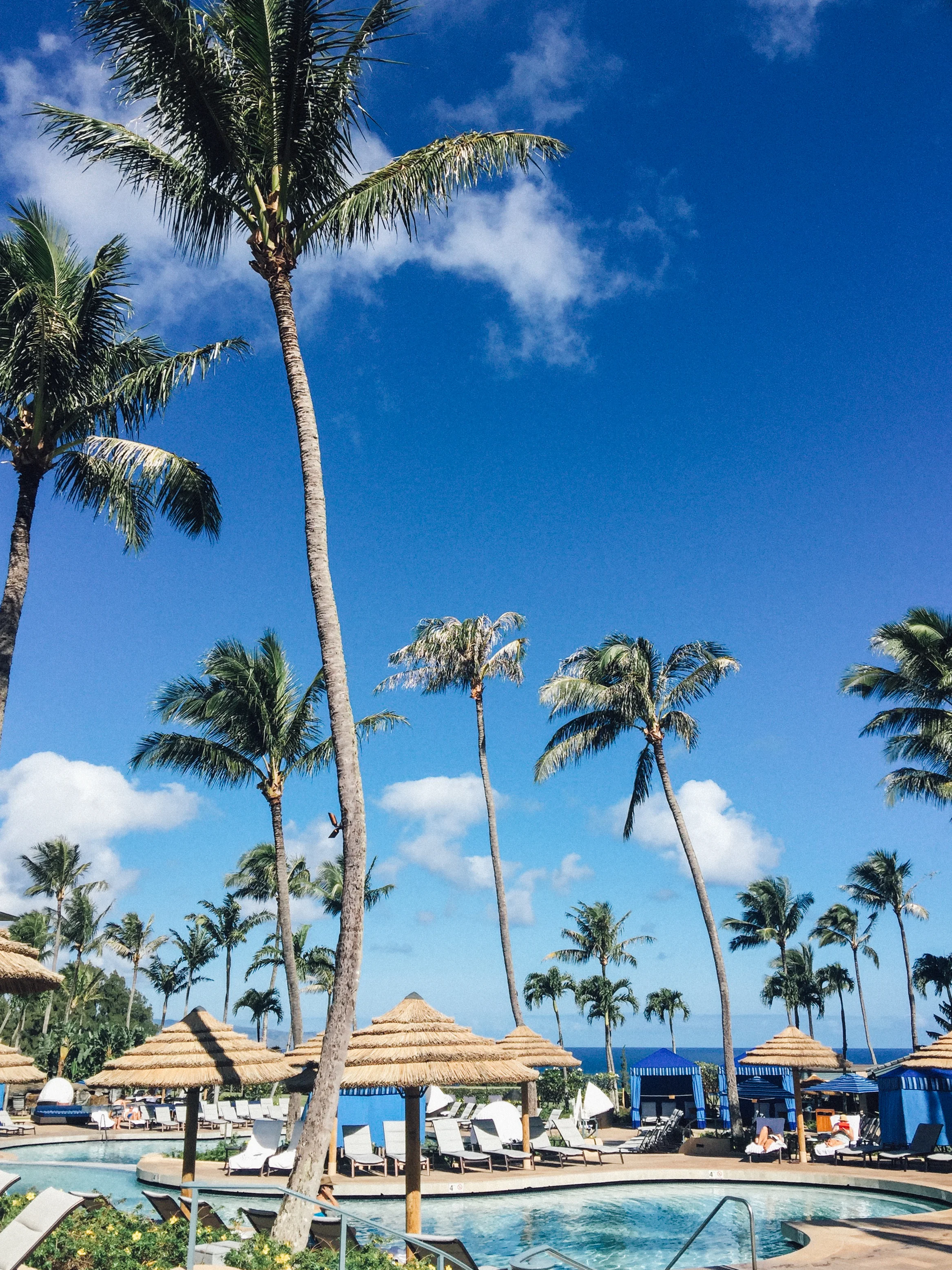 maui 0025.jpg