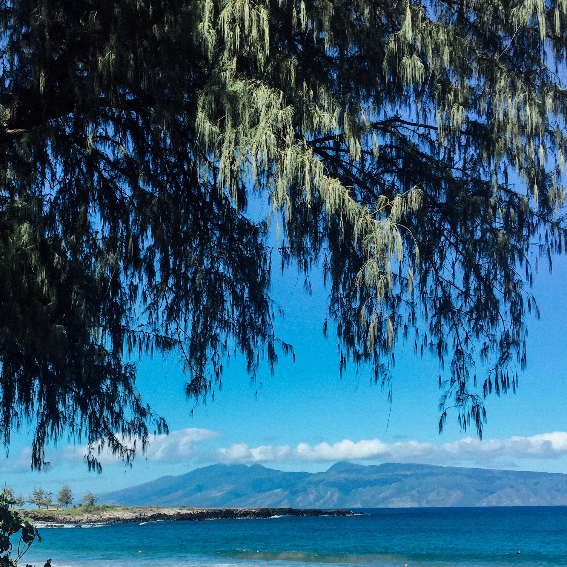 maui 0028.jpg