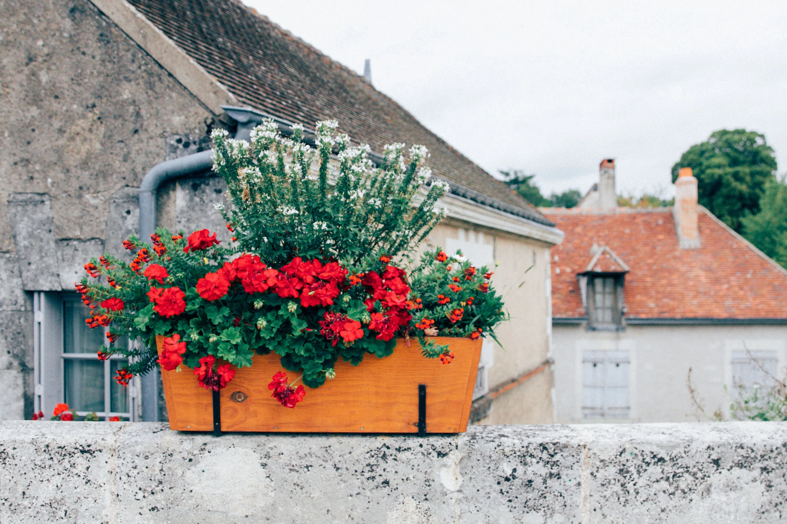 montresor 0047.jpg