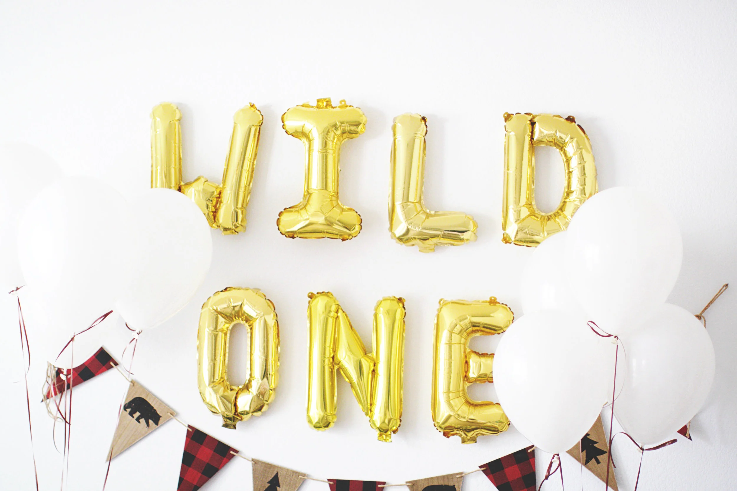 wild one 002.jpg