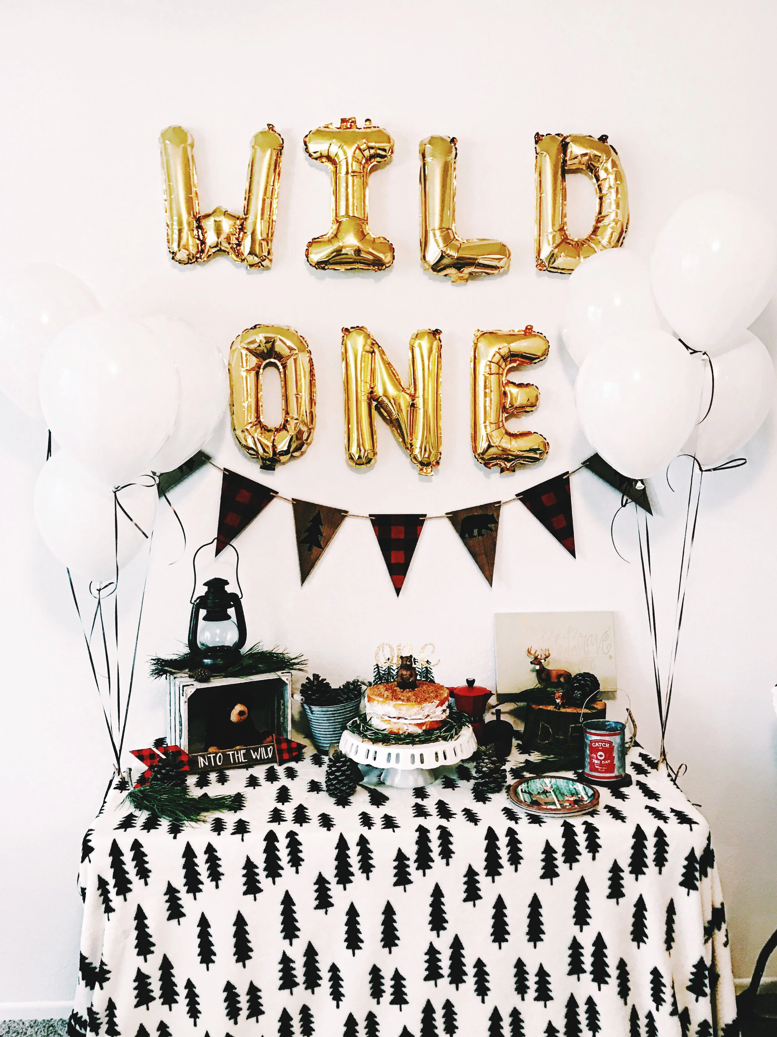 wild one 0012.jpg