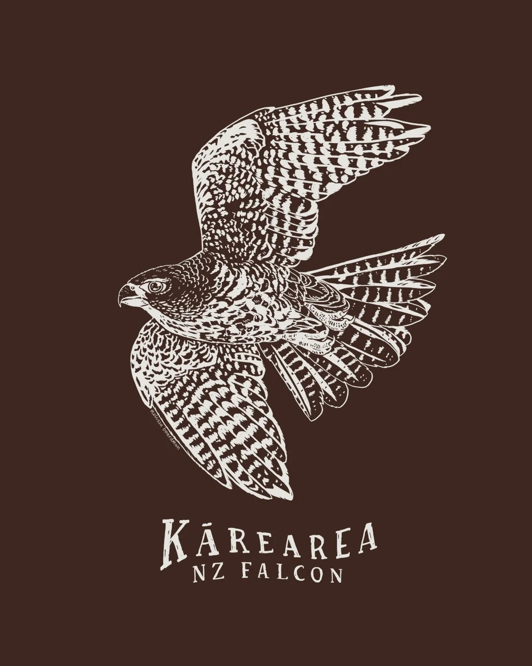 melissa boardman falcon tee artwork 01.jpg