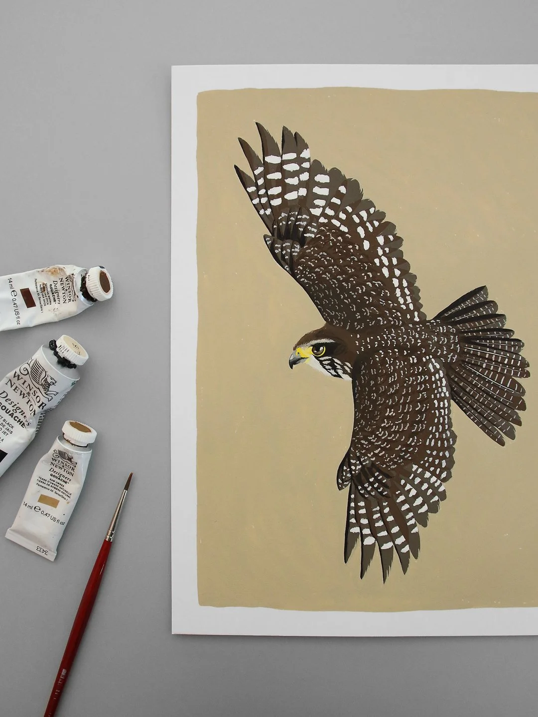 melissa boardman falcon original 03.jpg