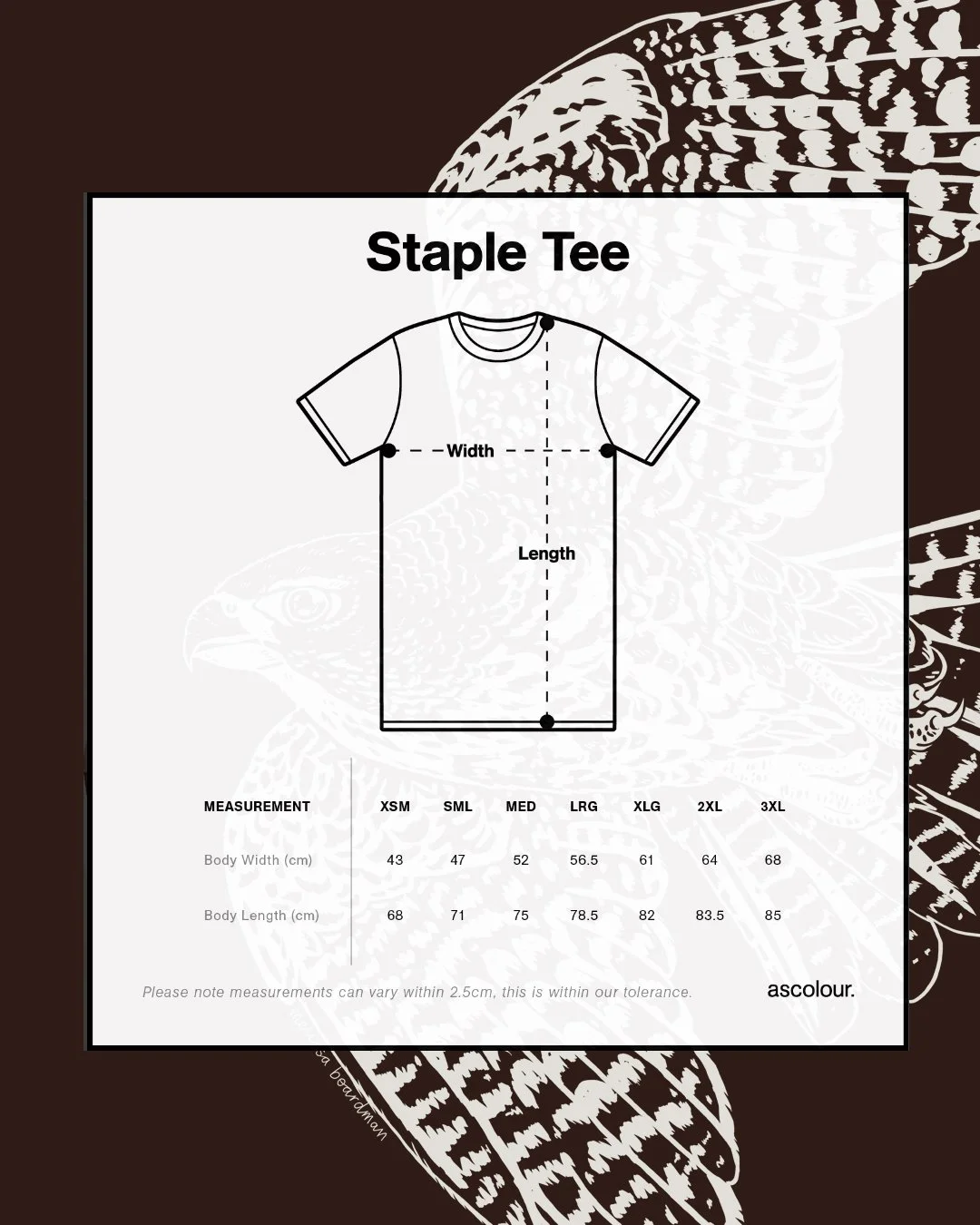 melissa boardman falcon tee mens 03 sizing.jpg