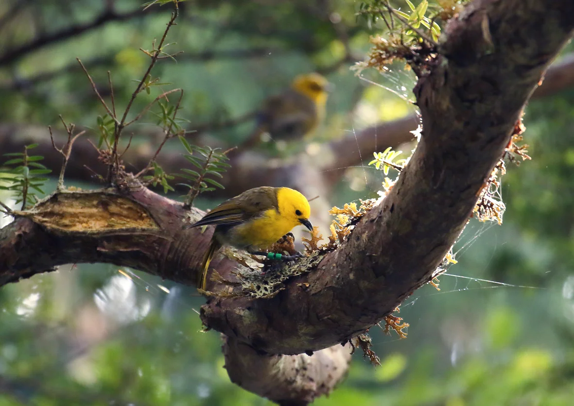 Stewart Island Part 2