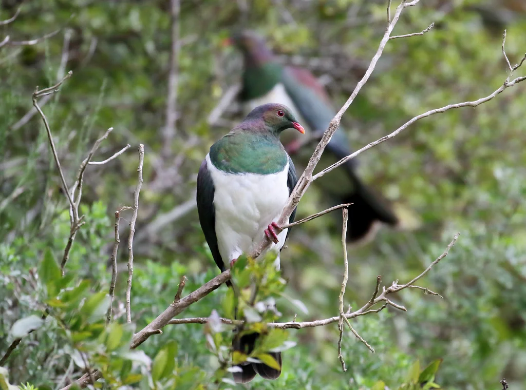 A few hours of sunshine