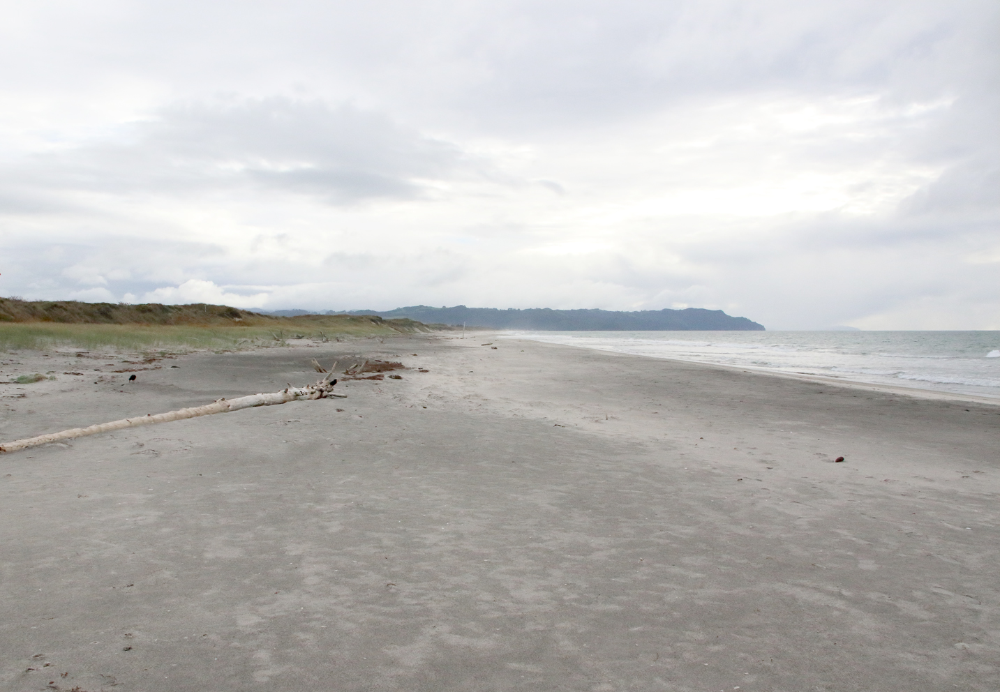 waihi beach landscape.JPG