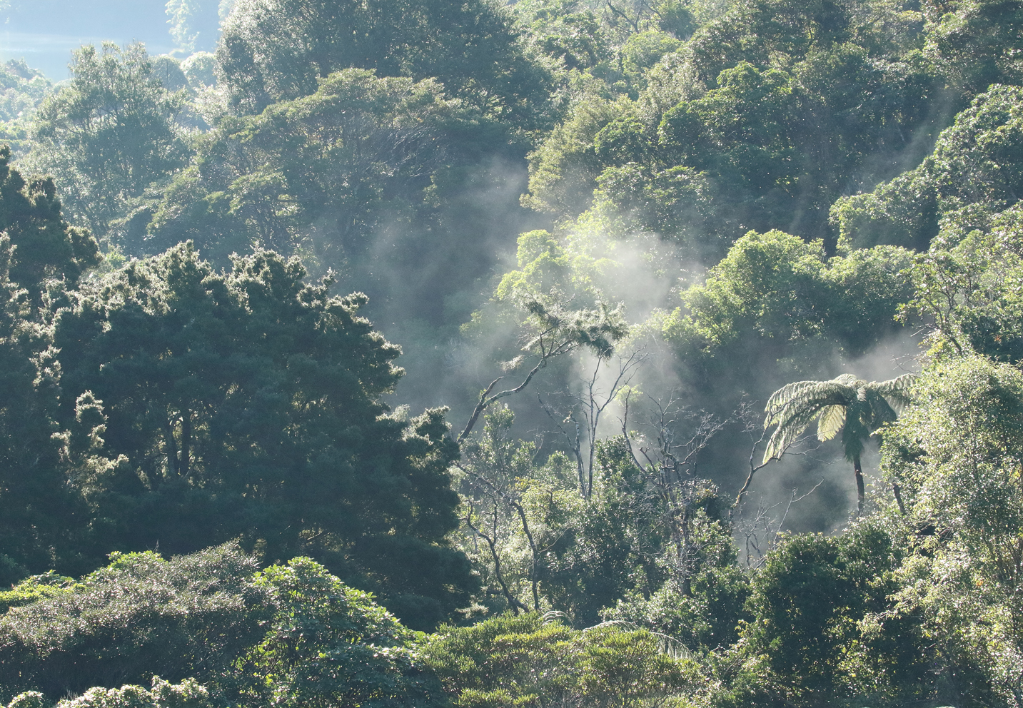 Stunning scenery as the mist rises from the valley.