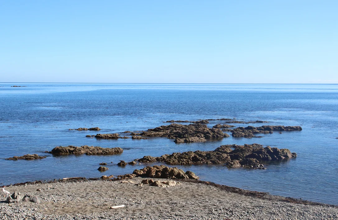 Going Places - Makara Beach