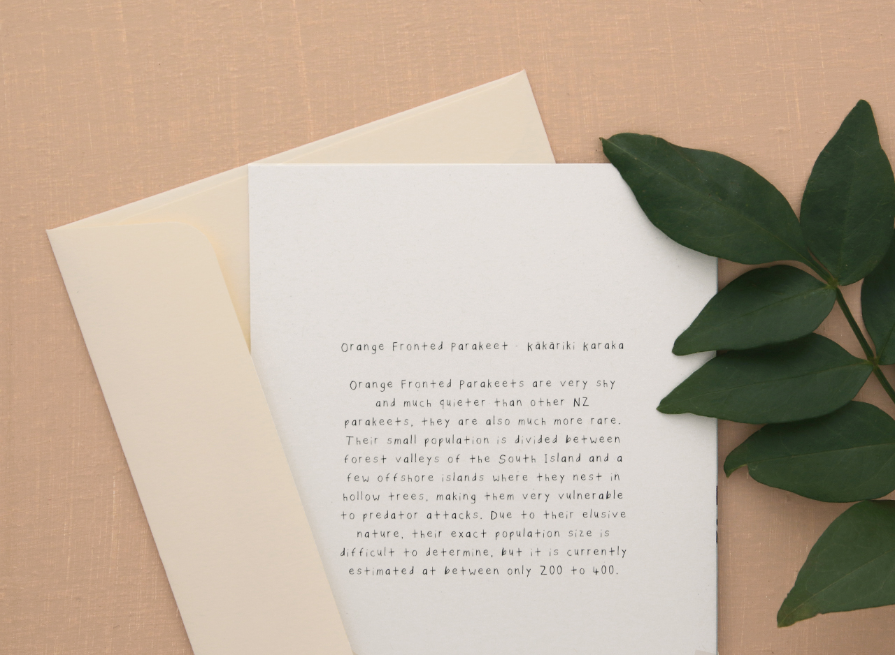 o-f-kakariki-greeting-card-bird-plus-bird-3.jpg