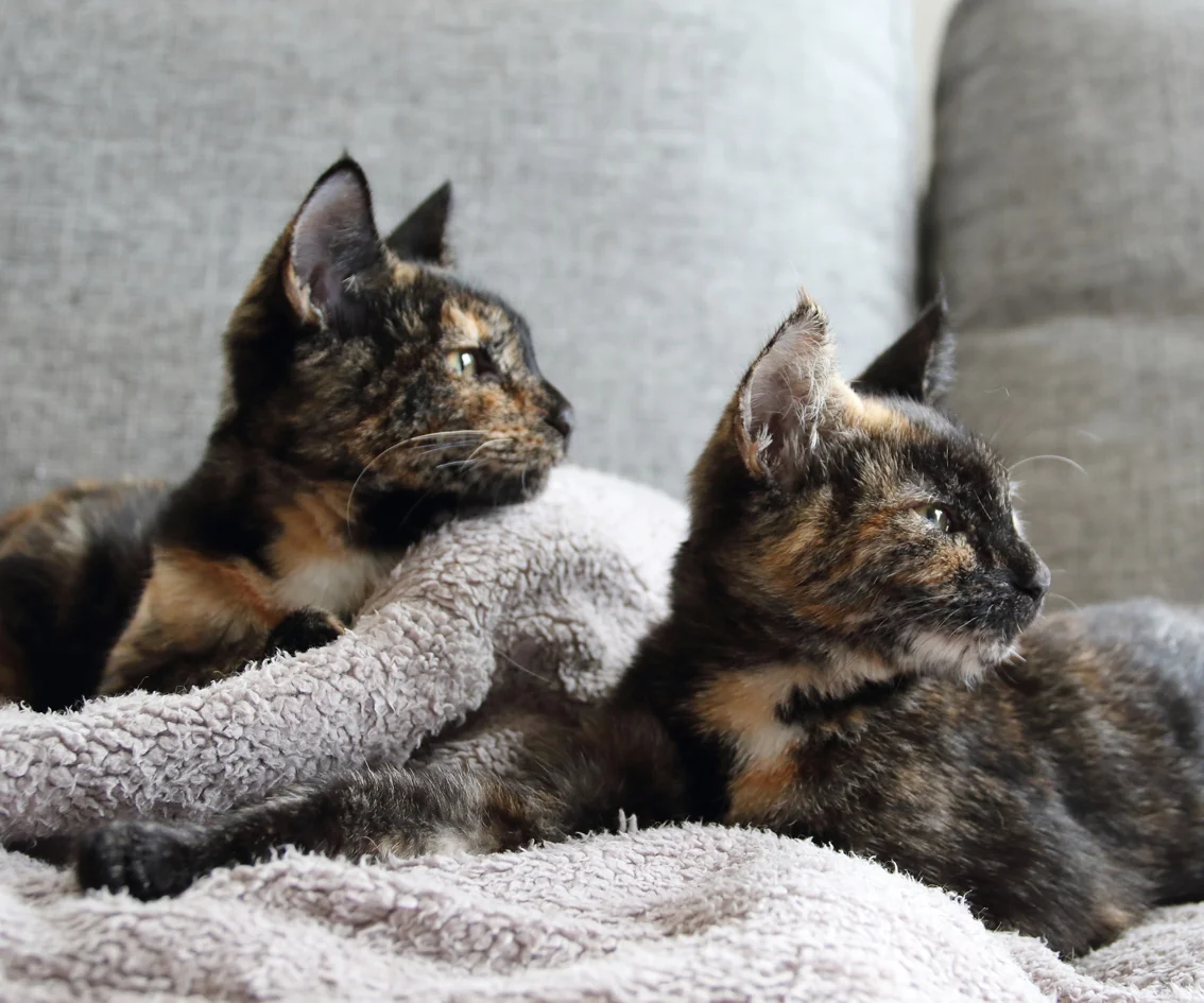 Bad things and good things