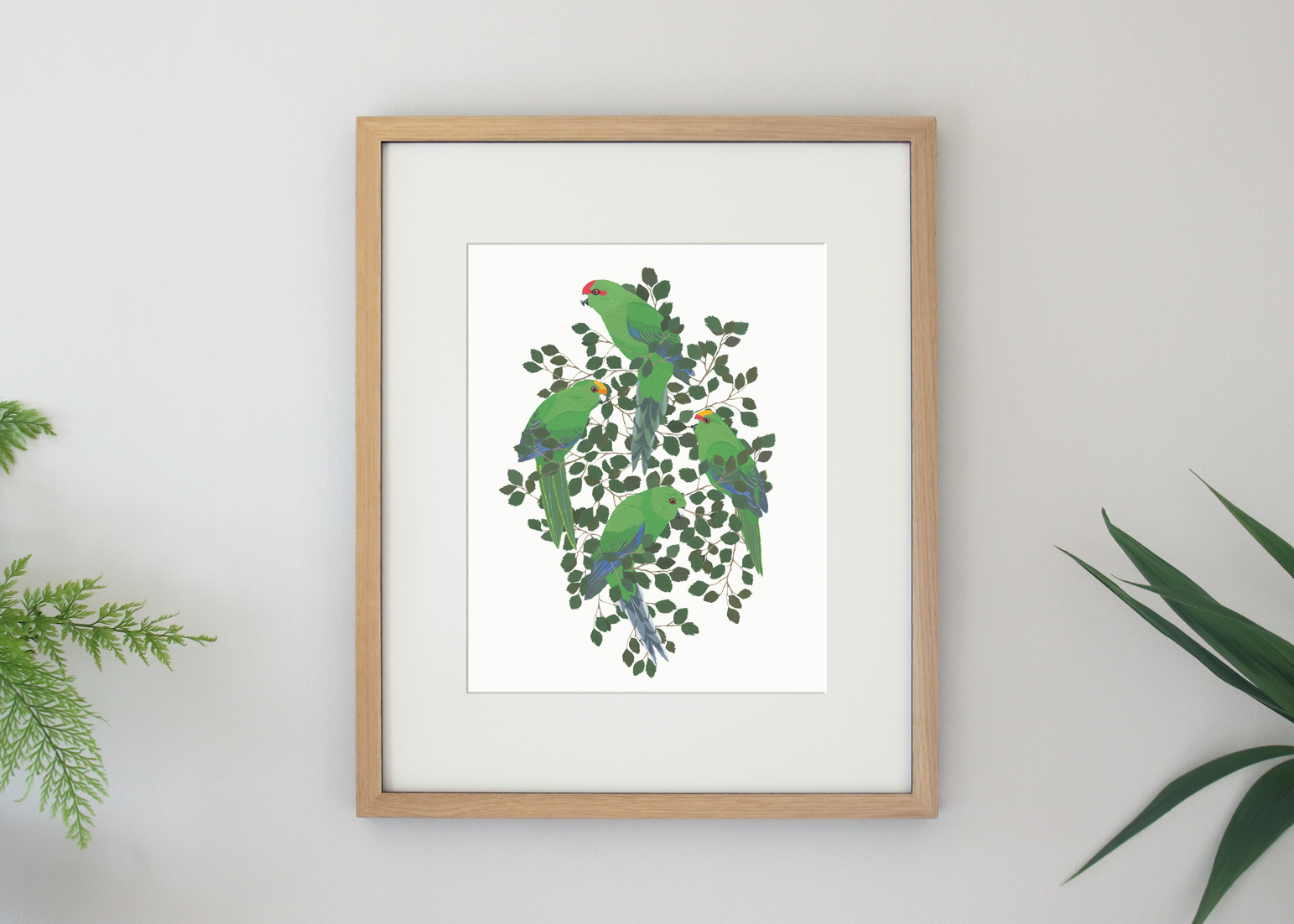 kakariki-in-hard-beech-print-in-frame.jpg