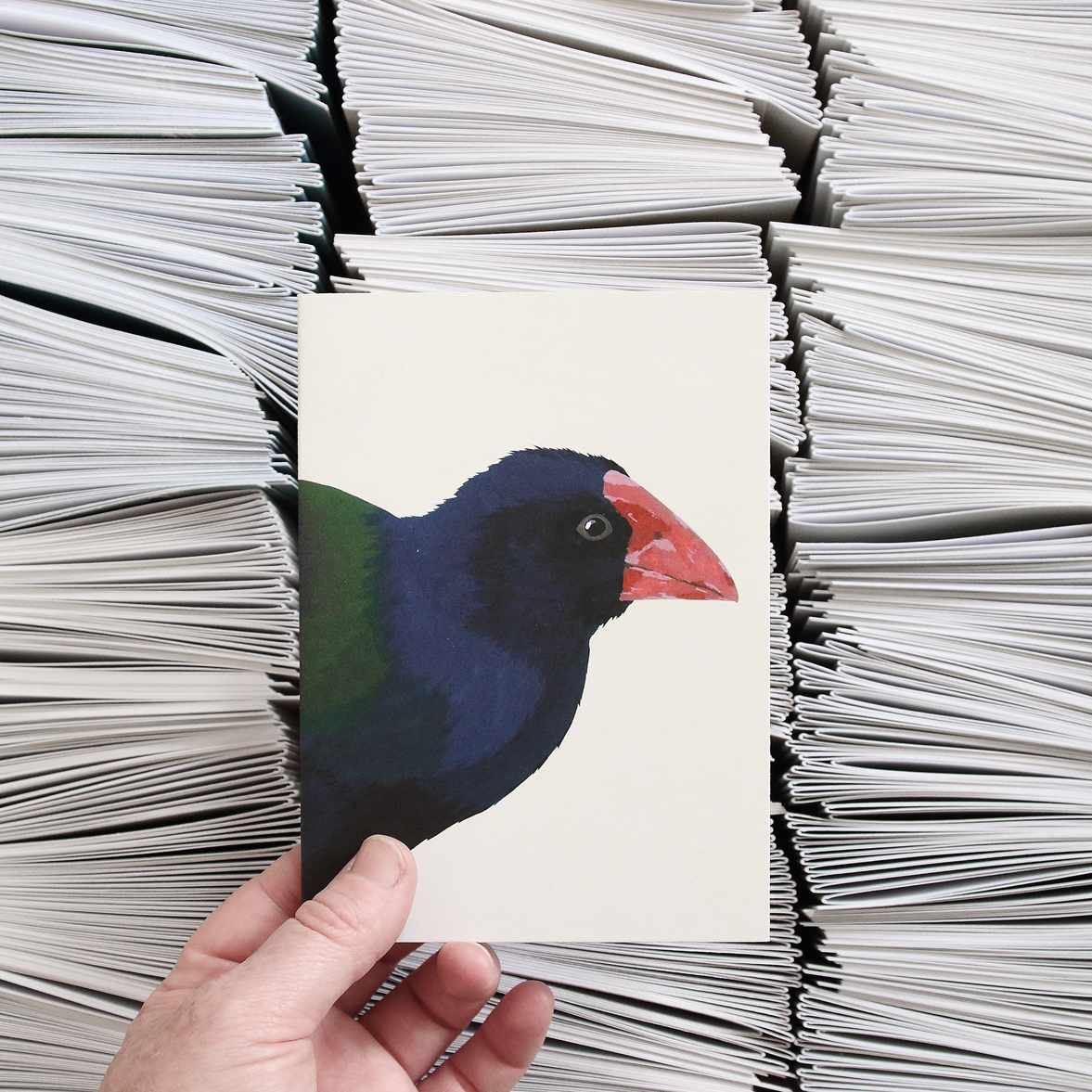 takahe card folding.JPG