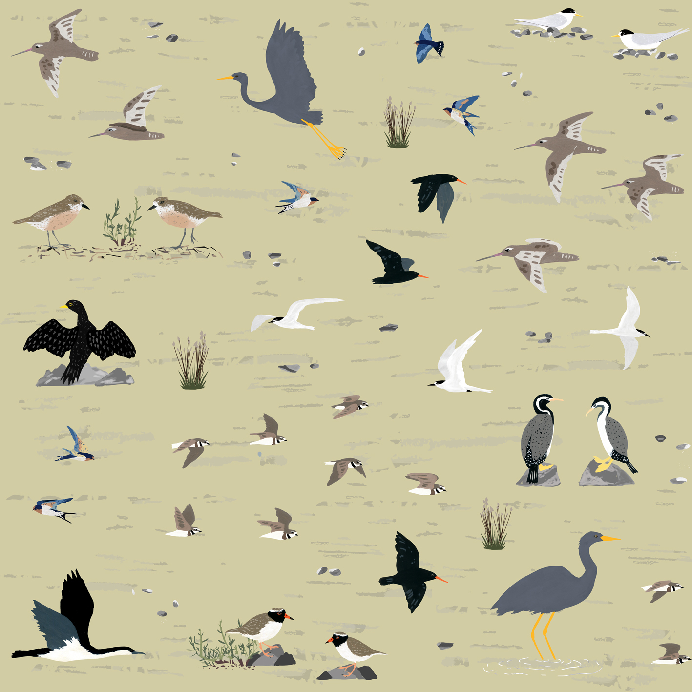 melissa boardman sea and shore birds pattern.jpg