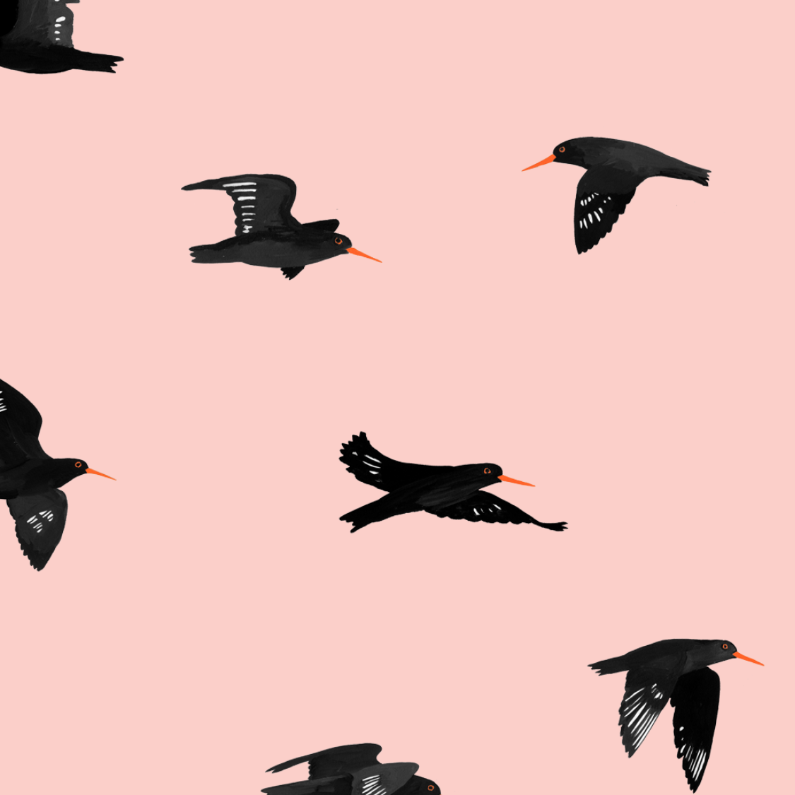 melissa boardman flying oystercatcher pattern.png