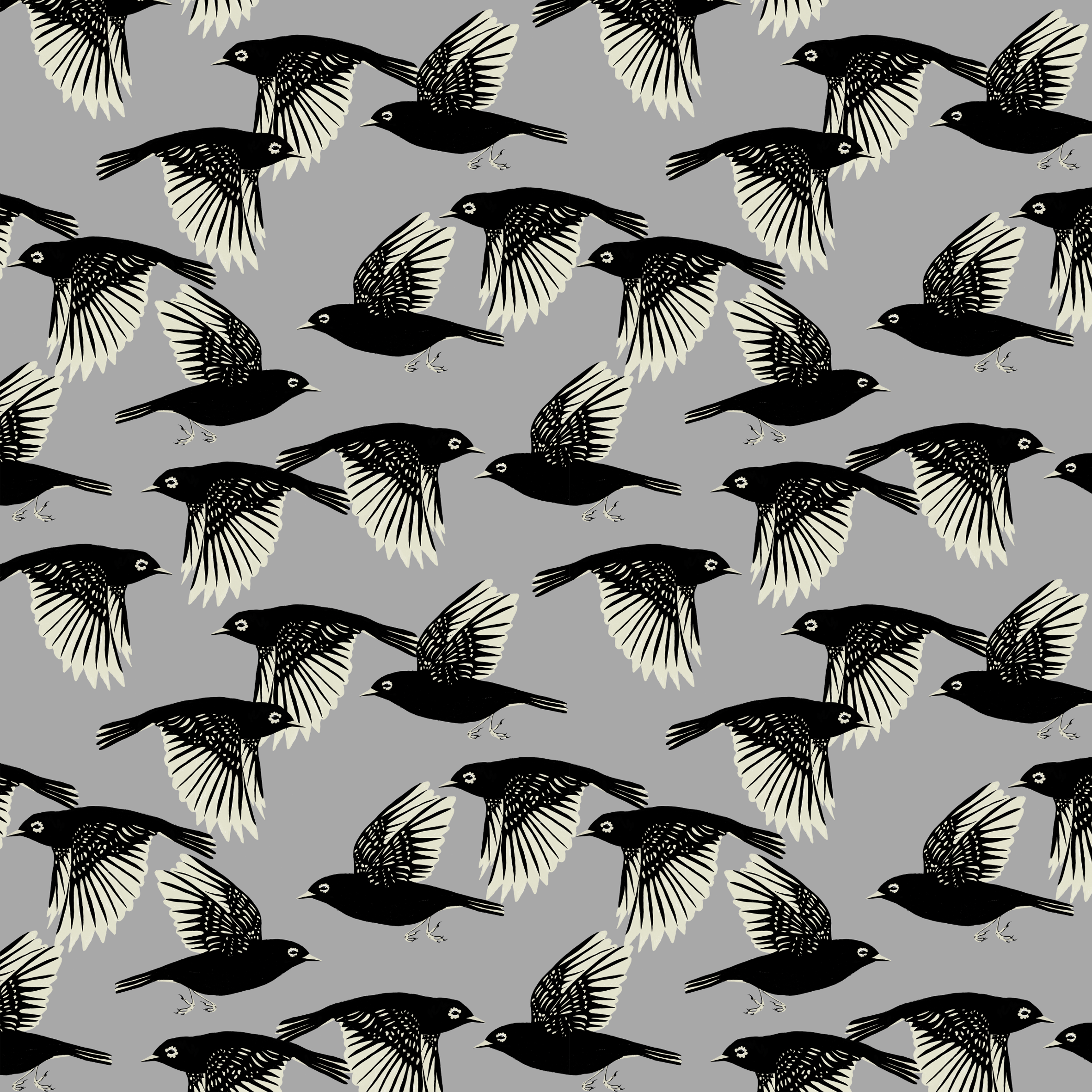 melissa boardman waxeyes pattern grey graphic bird pattern.png