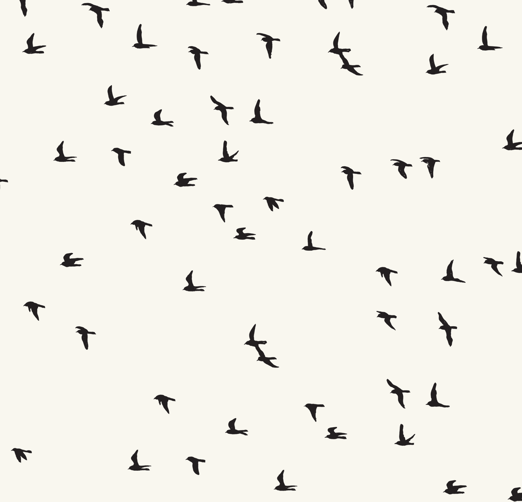 melissa boardman scattered flock of birds.png