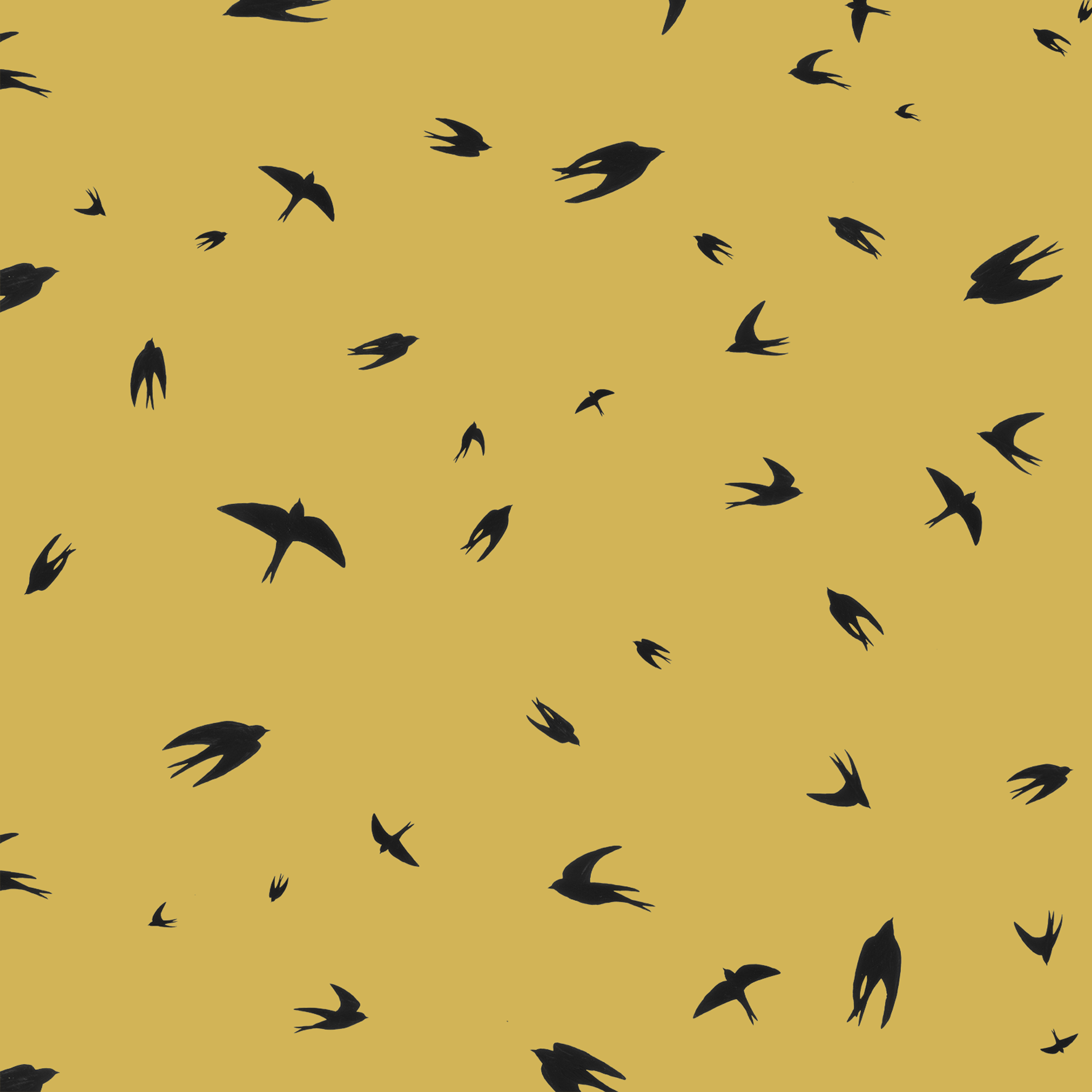melissa boardman flying swallows scatter.png