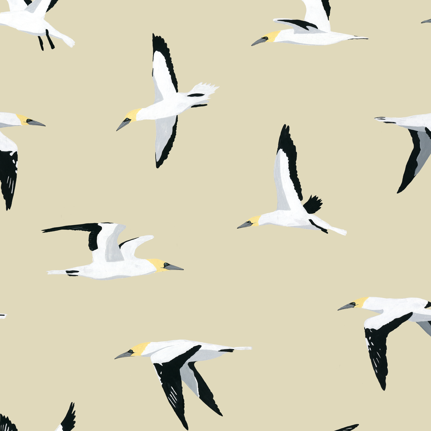 melissa boardman gannet pattern.png
