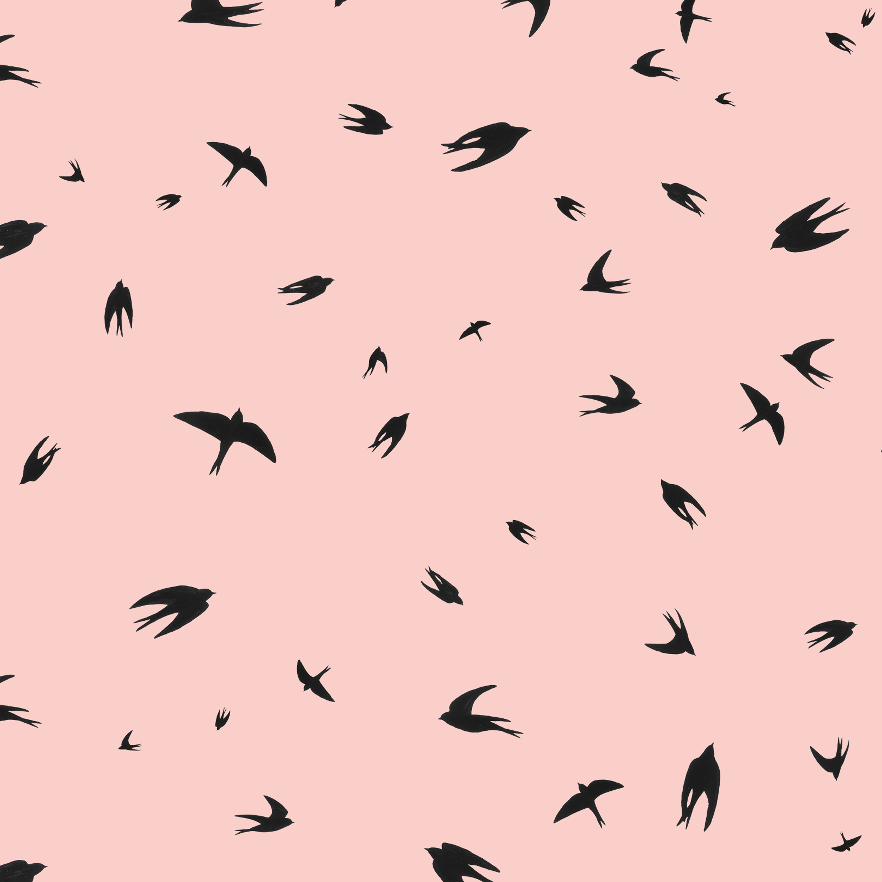 melissa boardman flying swallows pink.png