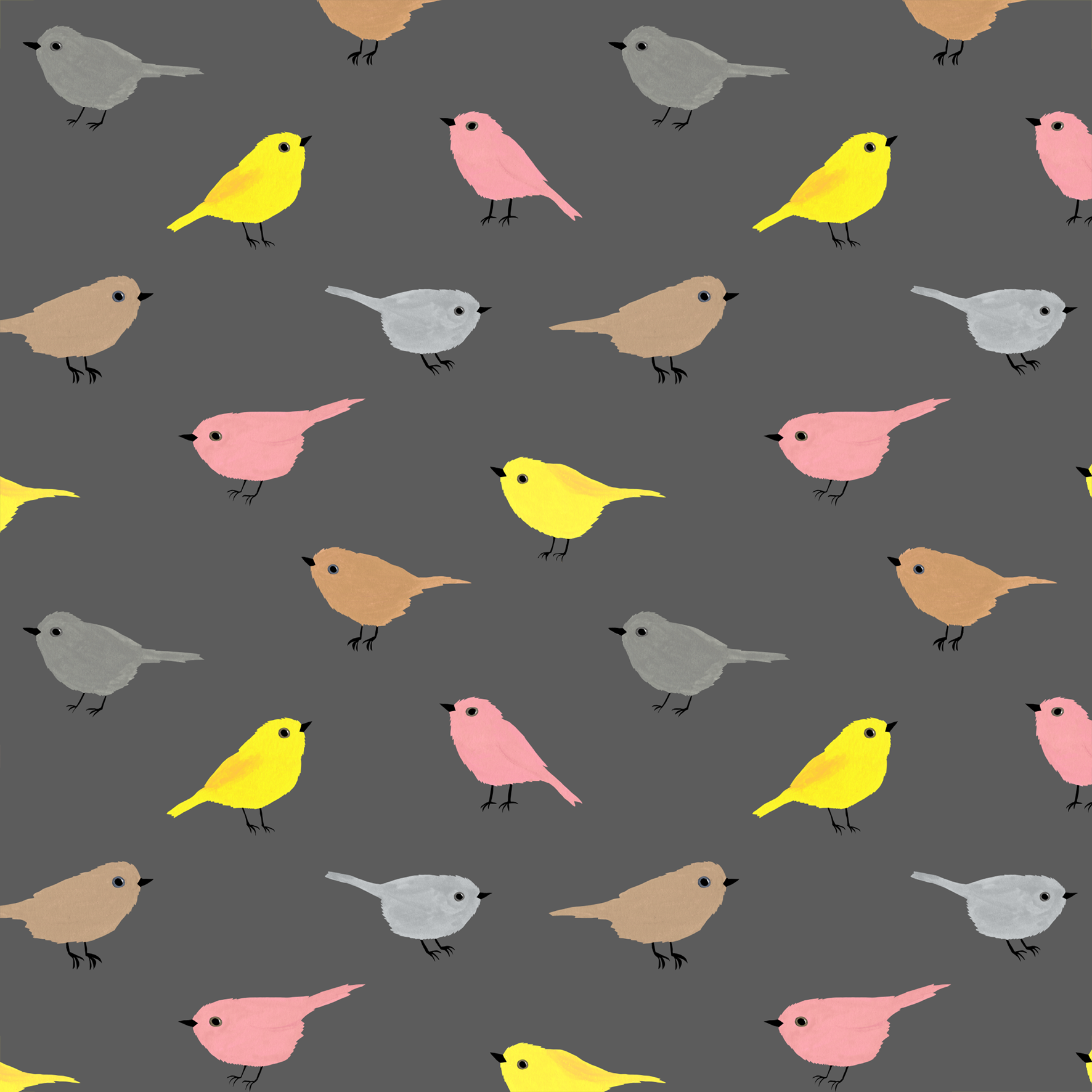 melissa boardman cute birds pattern on grey.png