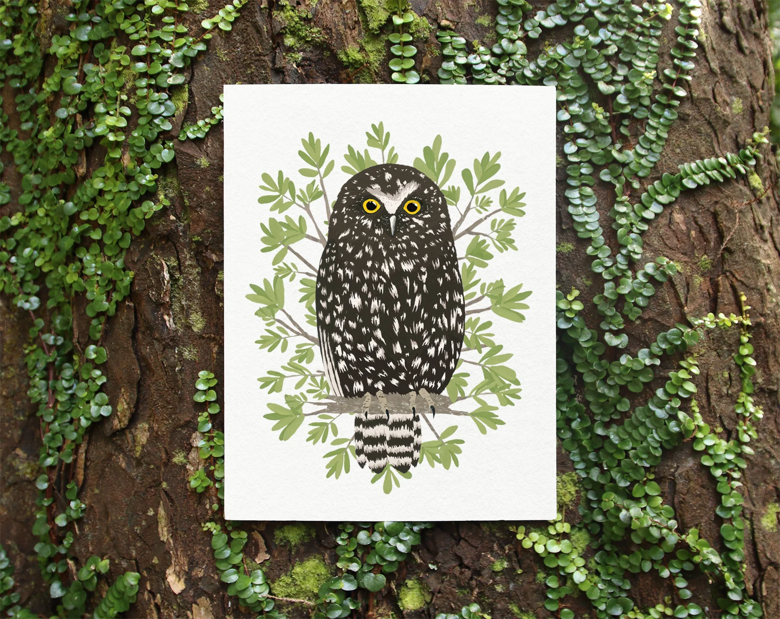 morepork in pohutukawa print in tree.jpg