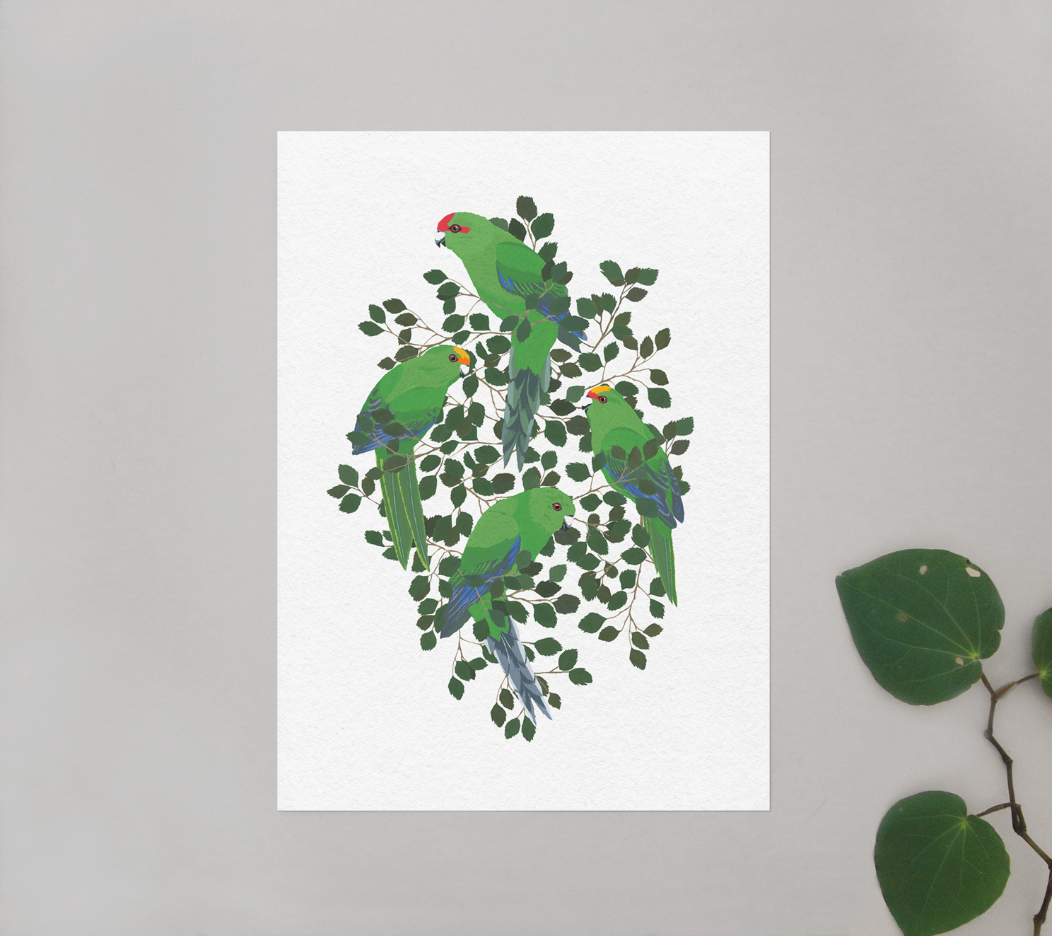 melissa boardman kakariki print.jpg