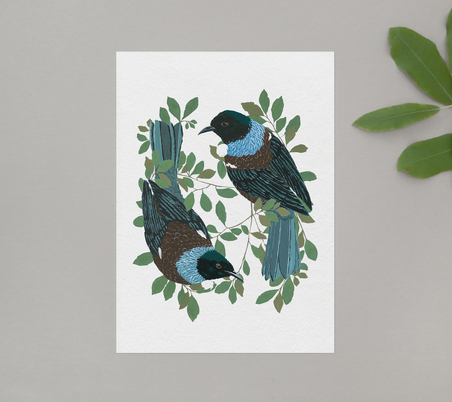 melissa boardman tui print.jpg