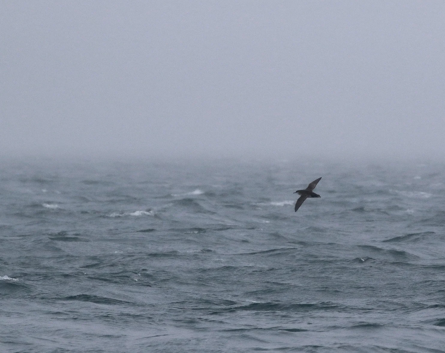 South Island Trip Part 1 - Blumine Island