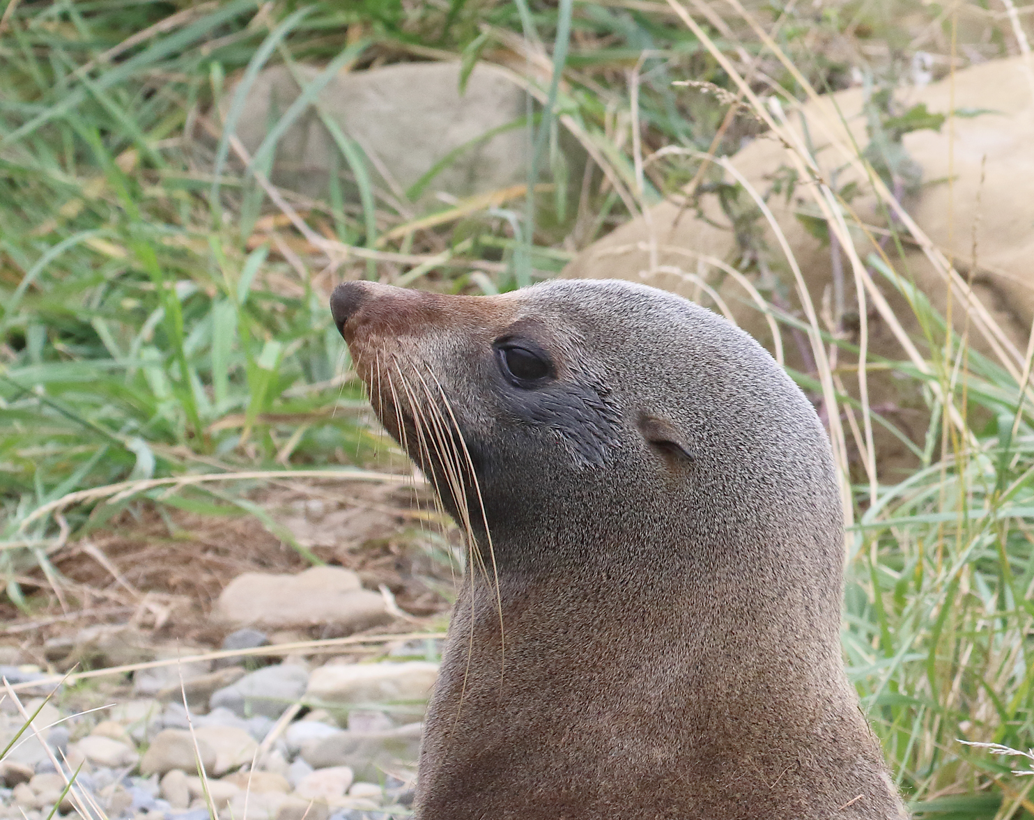 South Island Trip - Part 6 - On the road