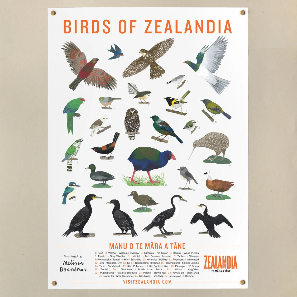 zealandia poster web size.jpg