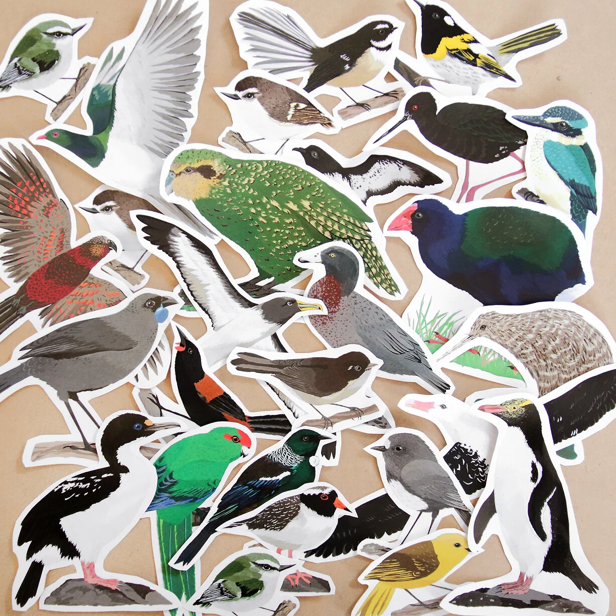 1V8A5457 stickers.jpg