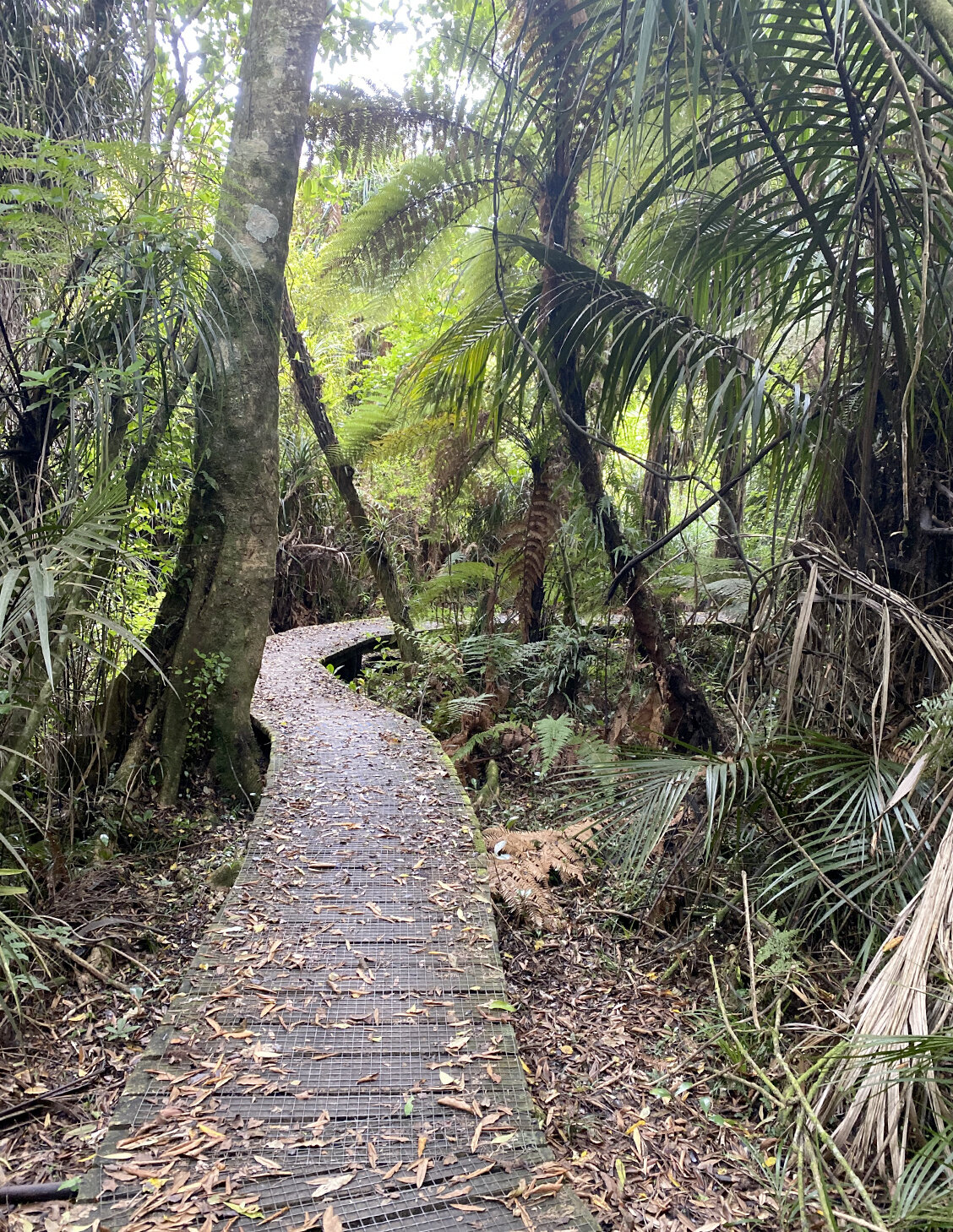 papaitonga reserve