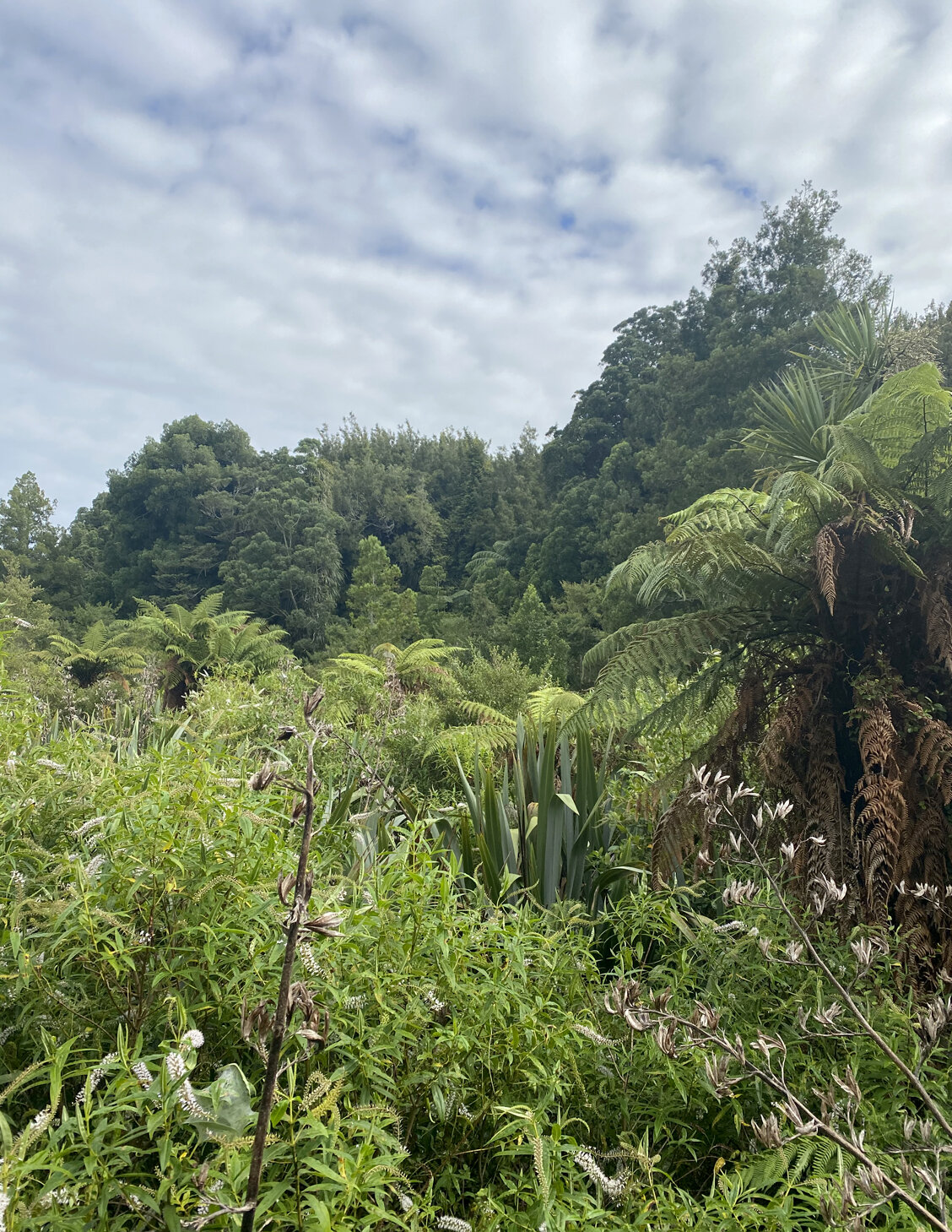 papaitonga reserve