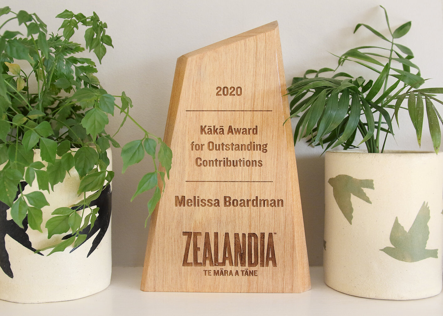 zealandia volunteer award