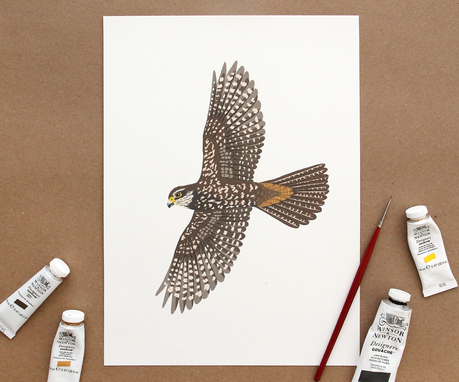 27 falcon b.jpg