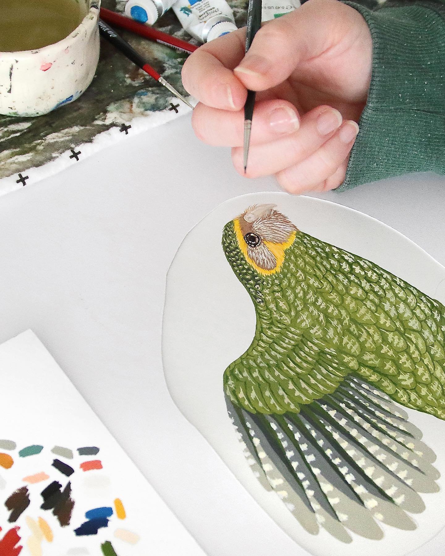 Slowly bringing this kākāpō to life 💚

I&rsquo;ve been working on illustrating a whole bunch of birds that I&rsquo;ll share the results of soon! This kākāpō was especially fun to paint 🎨

#birdartist #nzbirdartist #kākāpō