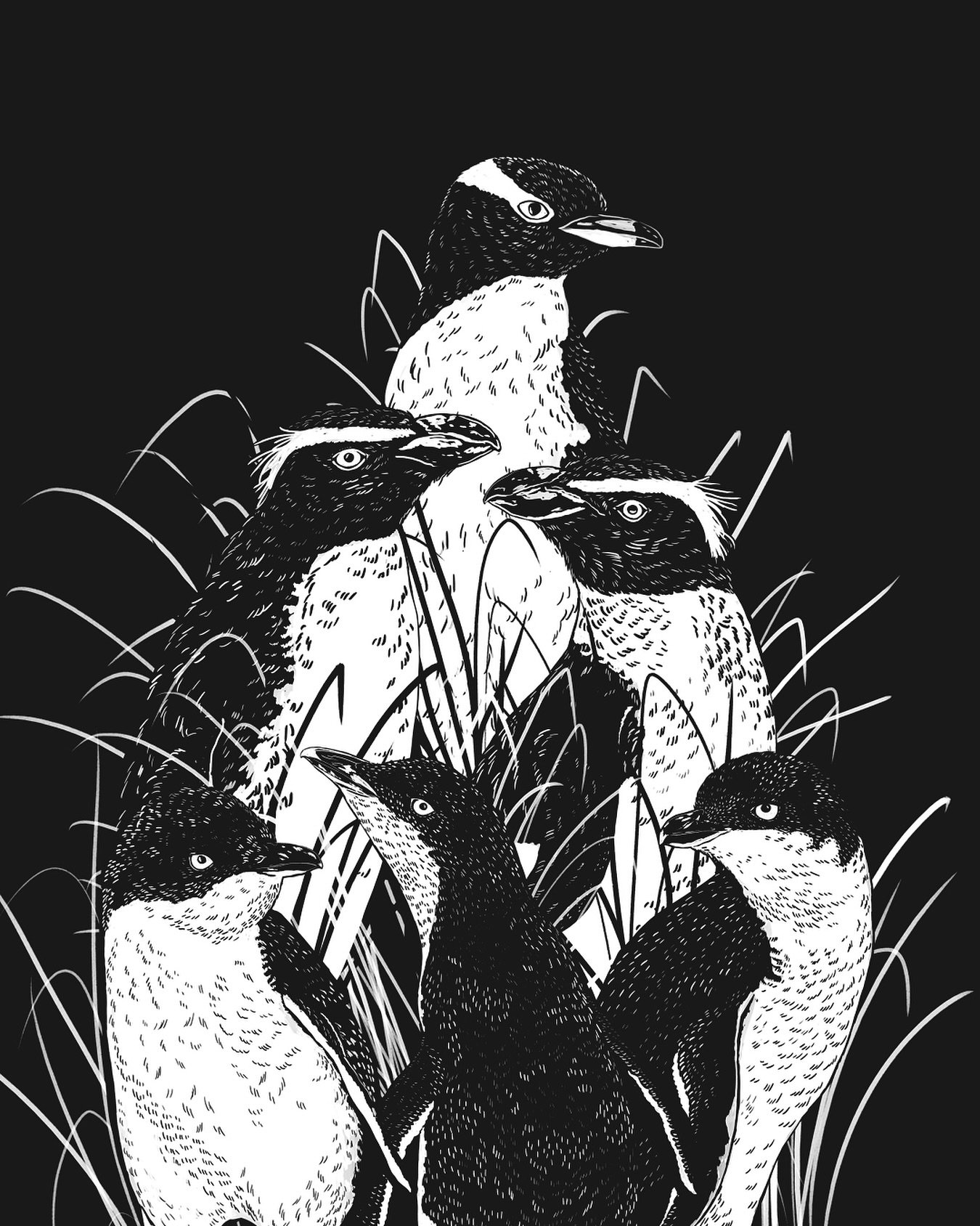 Penguin tees are coming!! 🐧

I&rsquo;ve been working away at a new penguin-inspired illustration for my next limited-release tee. Since it&rsquo;s winter here in NZ this penguin tee will have long sleeves!

Later this week I&rsquo;ll have all the de