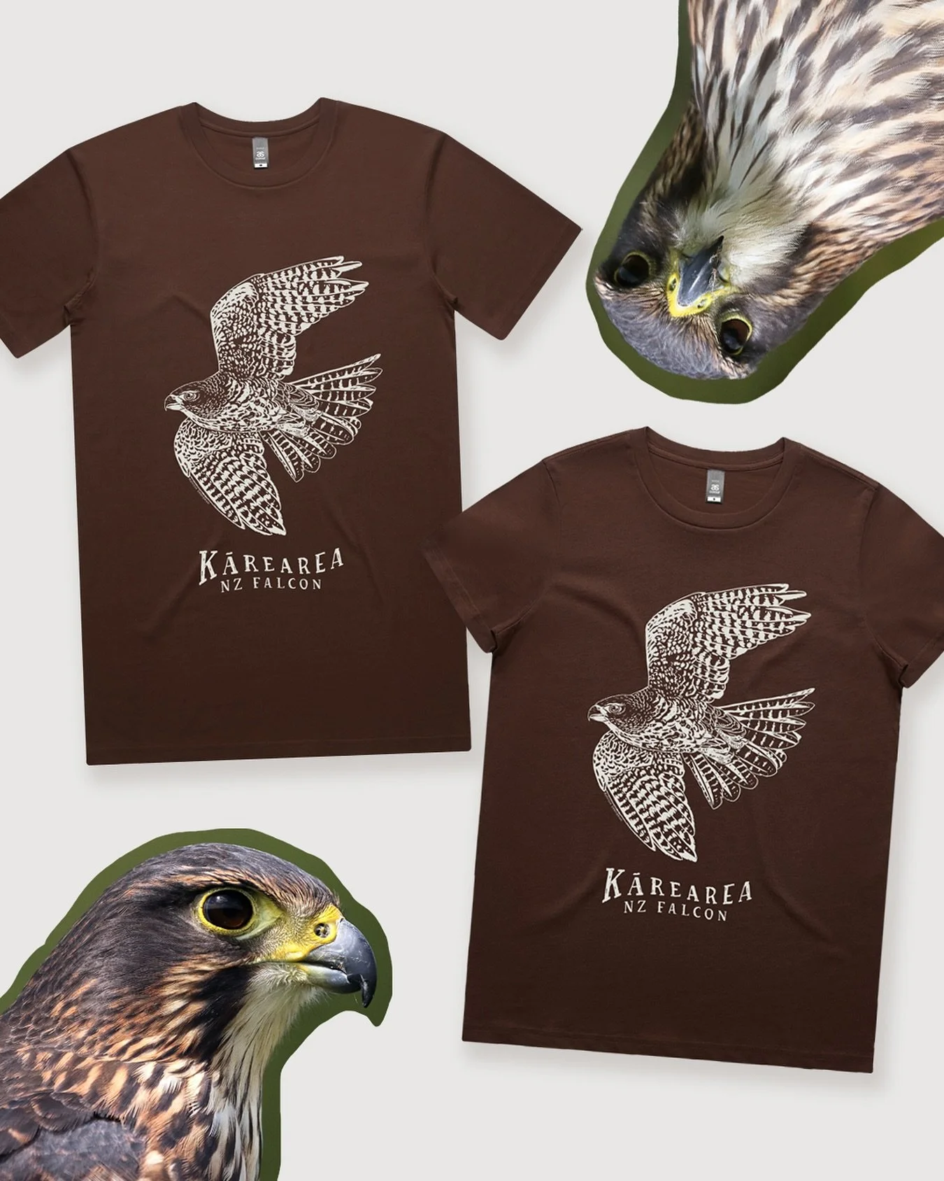 Blink and you&rsquo;ll miss it - kārearea tees are available to pre-order now!

There&rsquo;s only one week to grab your t-shirt featuring our majestic Bird of the Year 🦅

The tees will then be screenprinted to order and sent out to you 🤟

#nzbirdm