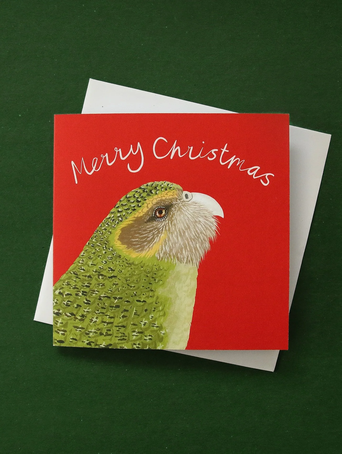 New Christmas Cards coming soon! 🎄

#newzealandbirds #nzbirds #nzillustrator #nzbirdmerch #kākāpō