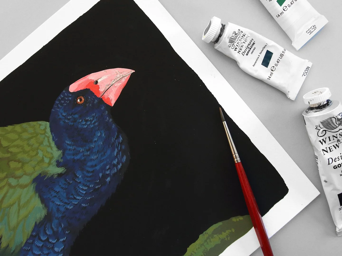melissa boardman takahe original 02.jpg