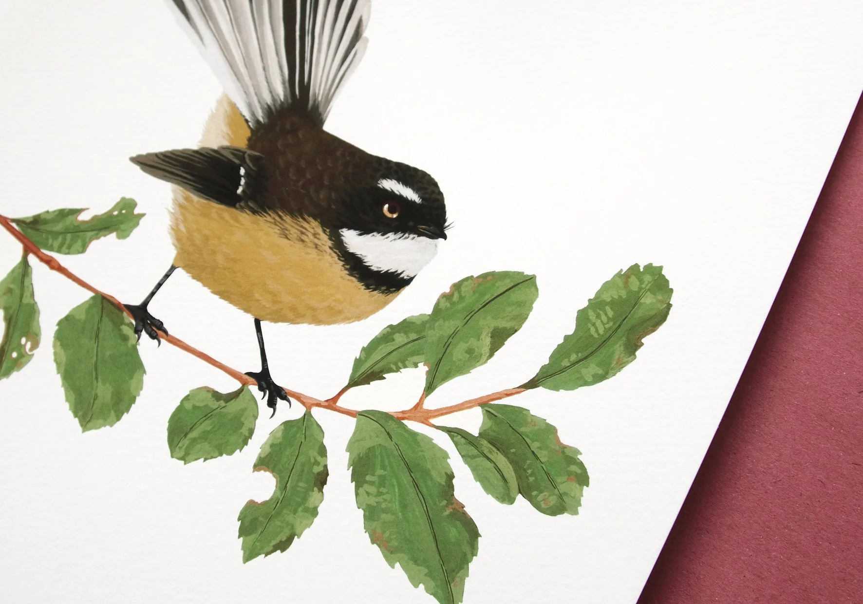 melissa boardman print fantail 02.jpg