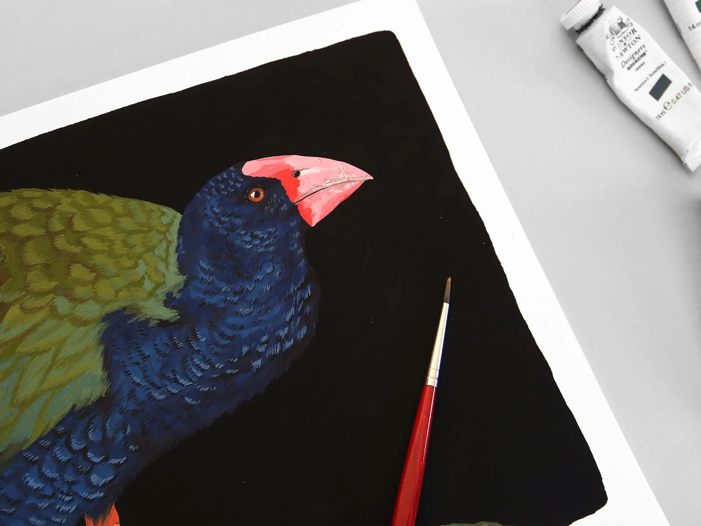 melissa boardman takahe original 03.jpg