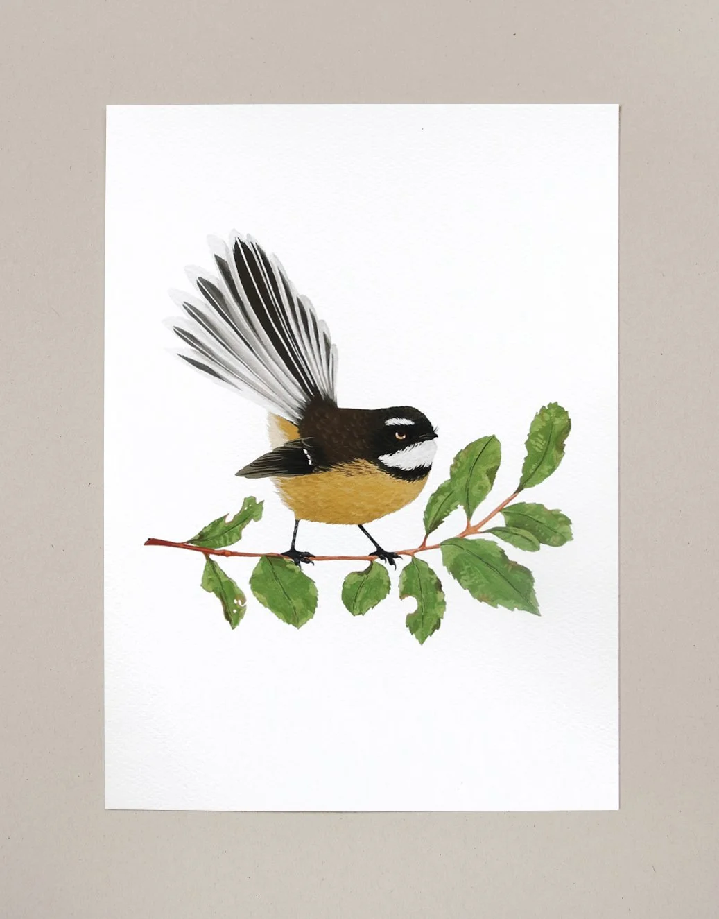 melissa boardman print fantail 03.jpg