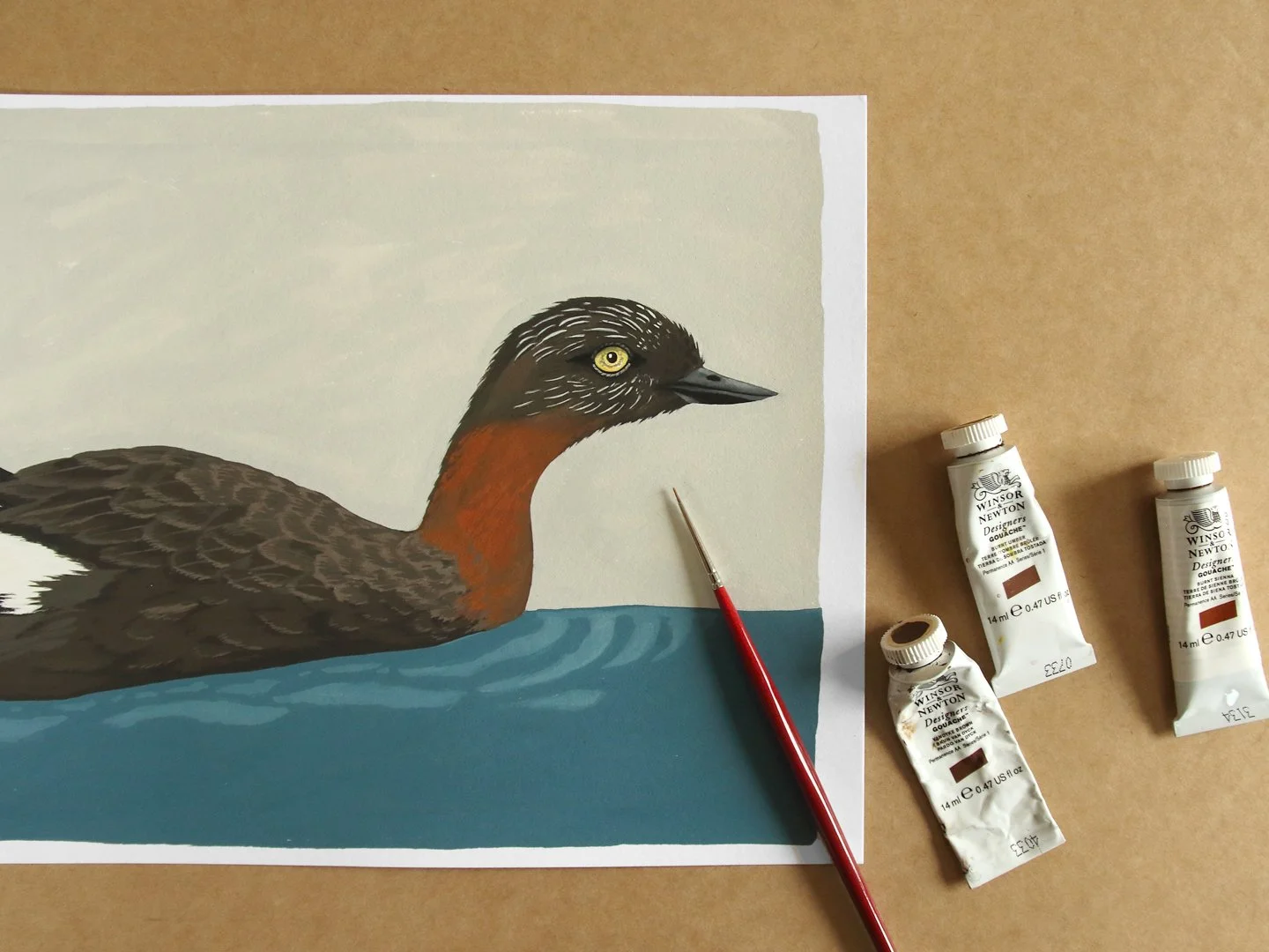 melissa boardman dabchick on lake 01.jpg